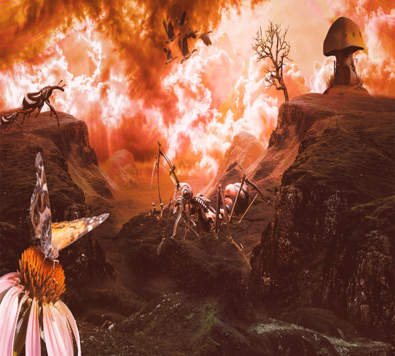 challenge-july-2021-year-5022-by-kai-stachowiak