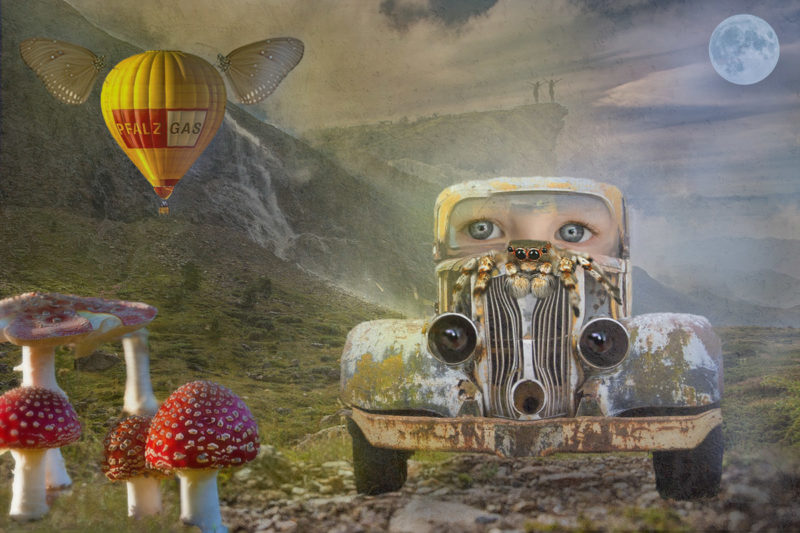 challenge-sep-2021-funny-car-in-funny-land-by-daniel-martin