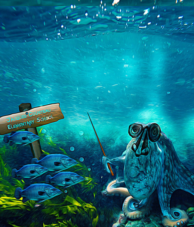 challenge-oct-2021-fish-school-by-lynn-mcneil