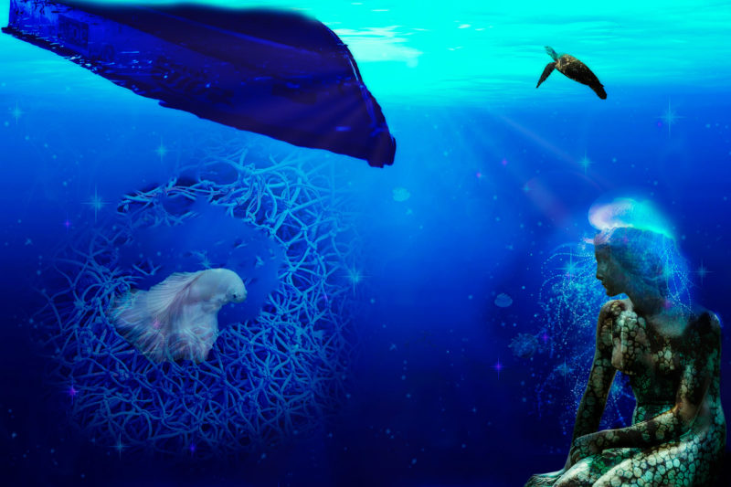 challenge-oct-2021-free-underwater-life-by-adriana-goldfeld