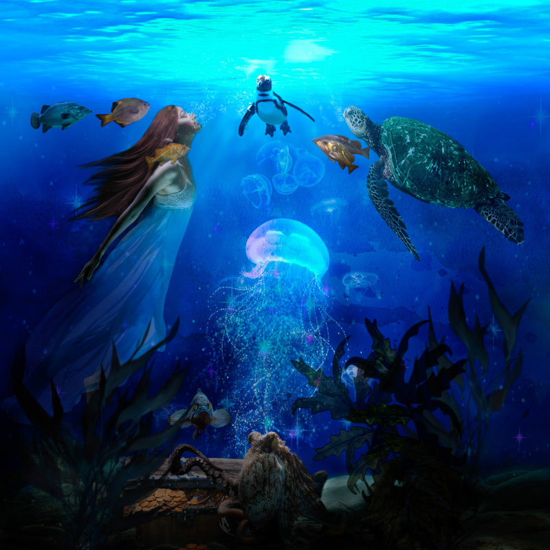 challenge-oct-2021-guardian-of-the-treasure-welcome-a-new-recruit-by-fay-mayllett