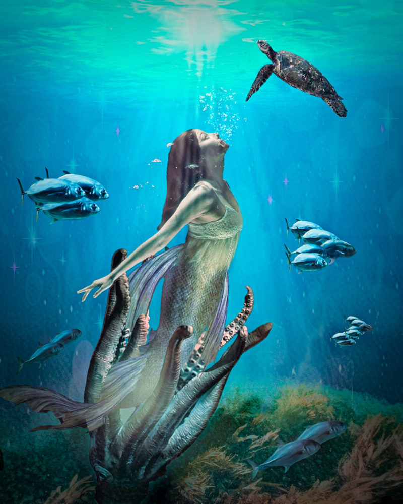 challenge-oct-2021-into-the-light-by-connie-terry