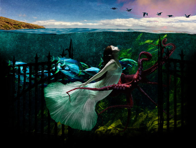 challenge-oct-2021-ocean-friends-by-susan-gravens