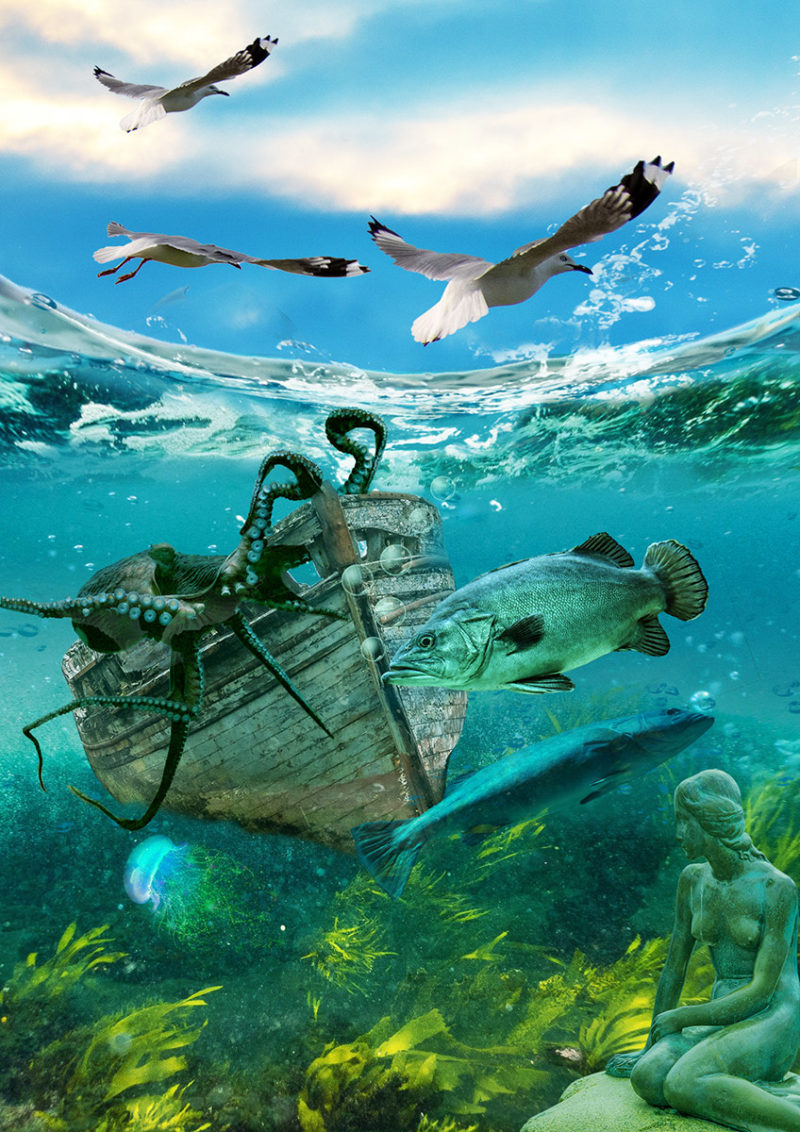 challenge-oct-2021-under-and-above-the-waves-by-carole-garside