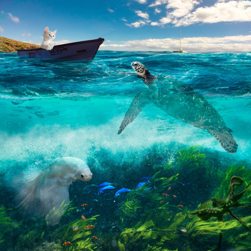 challenge-oct-2021-whats-for-dinner-by-ben-lavaar