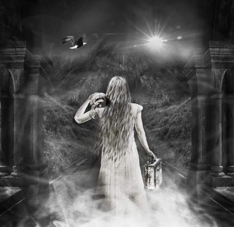 The Light to Freedom Karen W