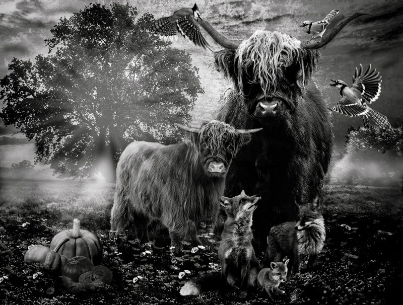 Gathering of Friends by Peggy R