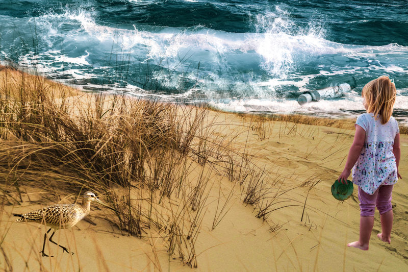 A-Day-On-The-Beach-By-Gaye-Taylor