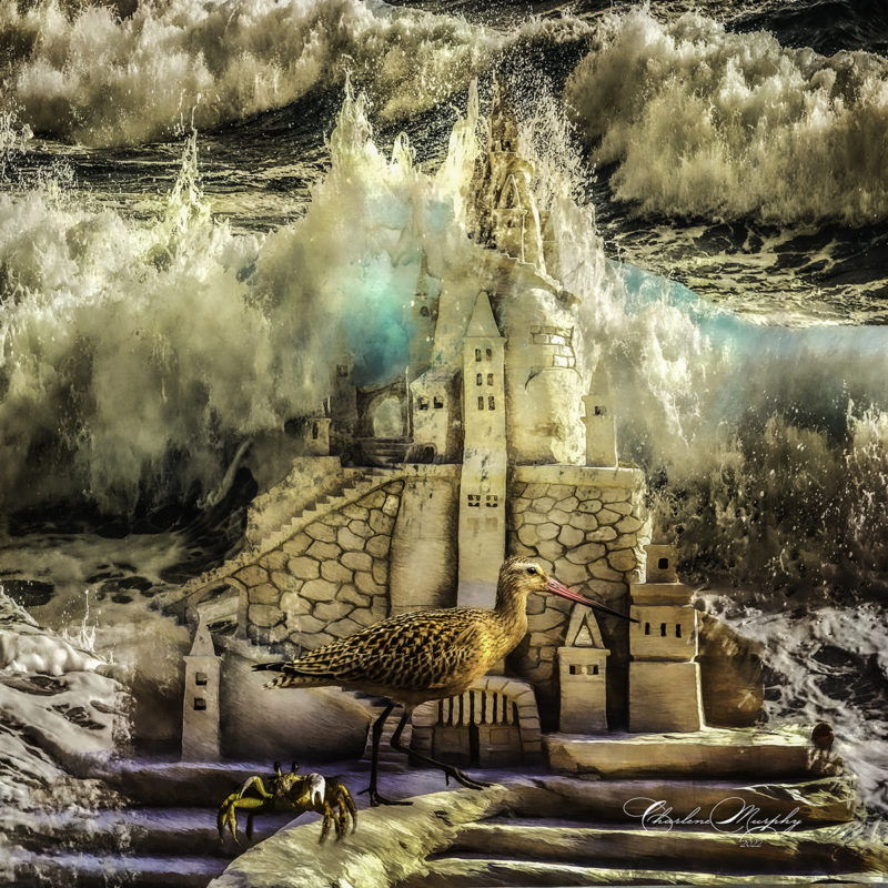 As-The-Sun-Sets-By-Charlene-Murphy