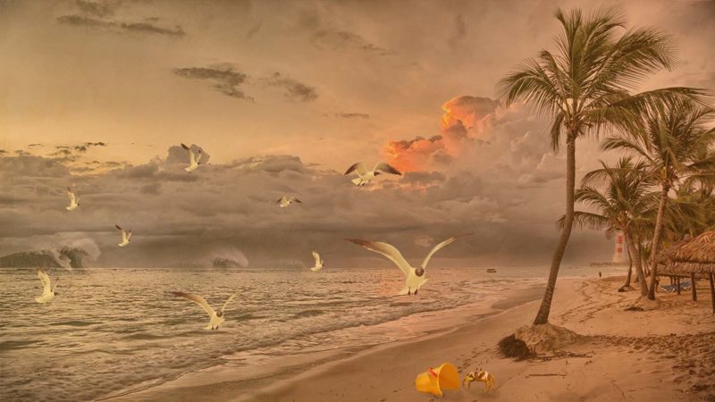 Beach-Bucket-Hideout-By-Sandy-Stofa