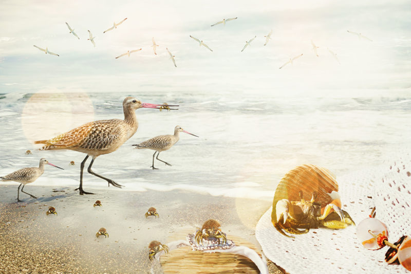 Beach-Life-By-Karen-Waalwyk