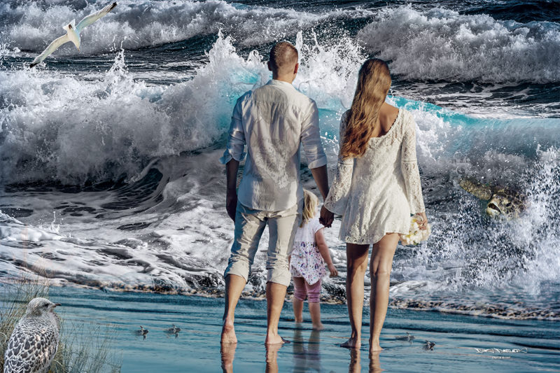 Cycle-Of-Life-By-Bob-Desilets