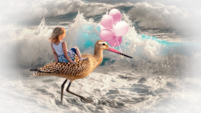 Fantastic-Ride-Jpg-By-Dalia-Gonzalez