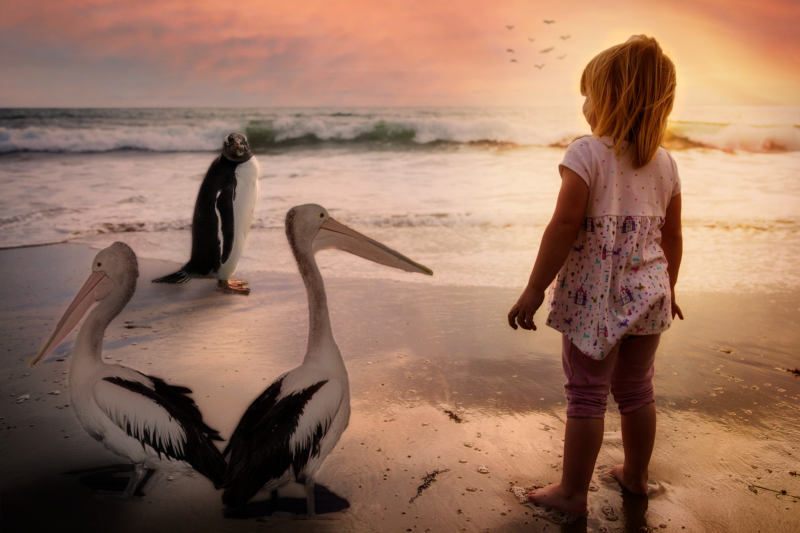 Friends-By-Andre-Stevens