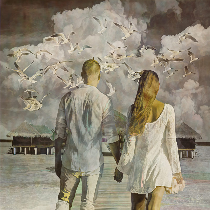 Gull-Island-Retreat-By-Dan-Lavery