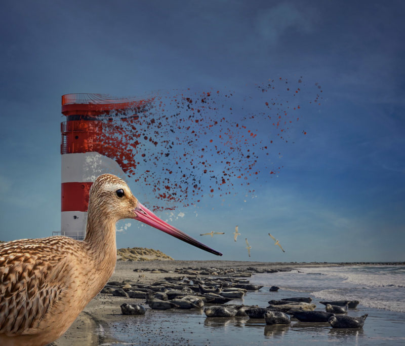 Let-The-Animals-Rule-By-John-Schultz