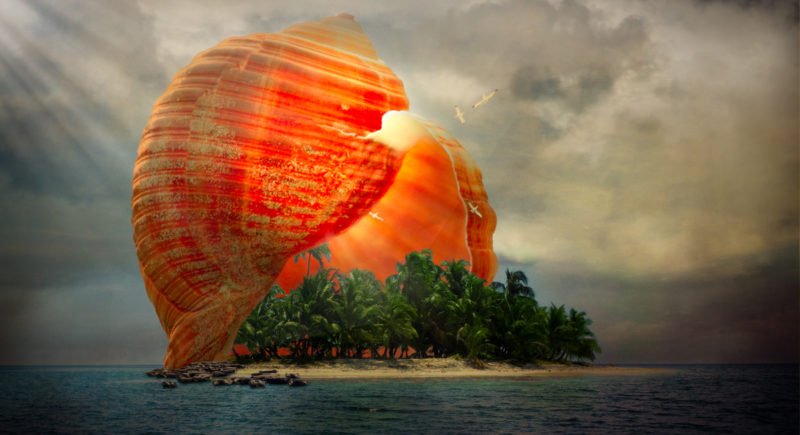 Shell-Island-By-Michelle-Mondragon