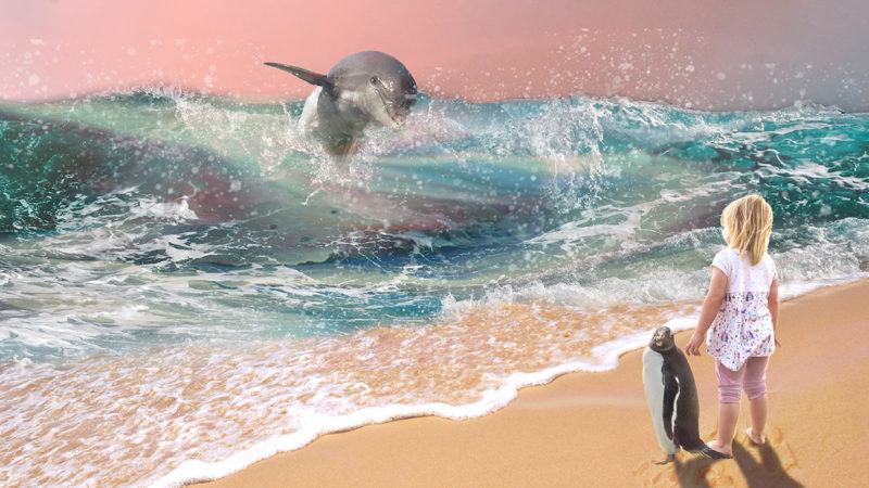 The-Day-We-Saw-A-Dolphin-By-Carole-Garside