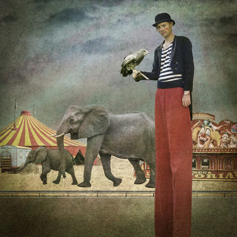 The world’s become a drama-circus.