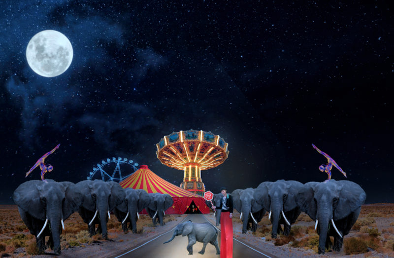 Circus Appears Without Warning