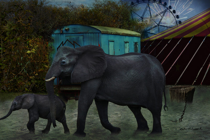 Escape To Freedom by Val Huzel