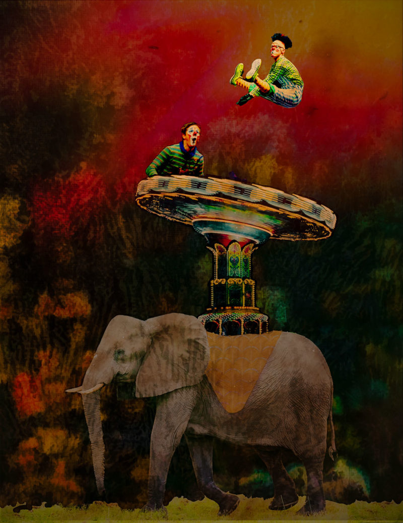 Flippin High by Anne Lou Robkin