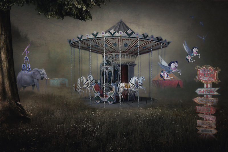 The Magical Circus by Nancie Rowan