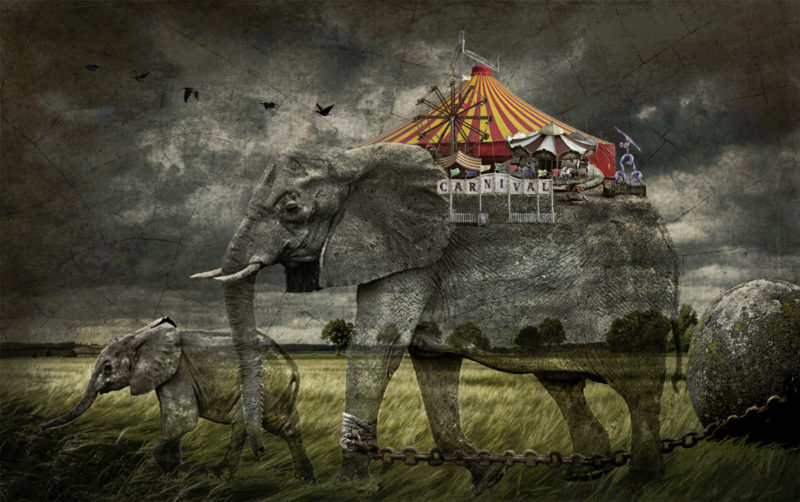 The Price Of Admission by Susan Gravens