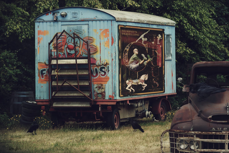 Travelling No More by Kim Ricci