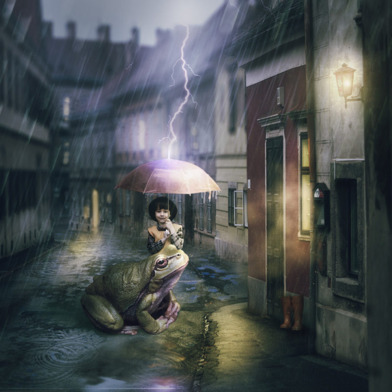 Amici by Ric Matkowski