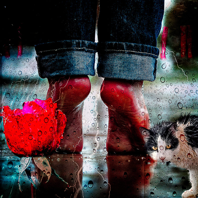 Aprilshower by Tom Sherrill Mix