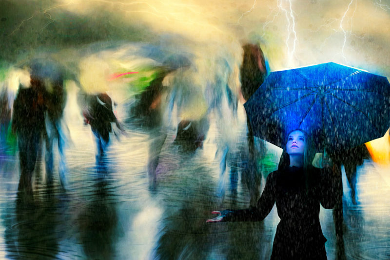 Caught In The Rain by Liz Berry