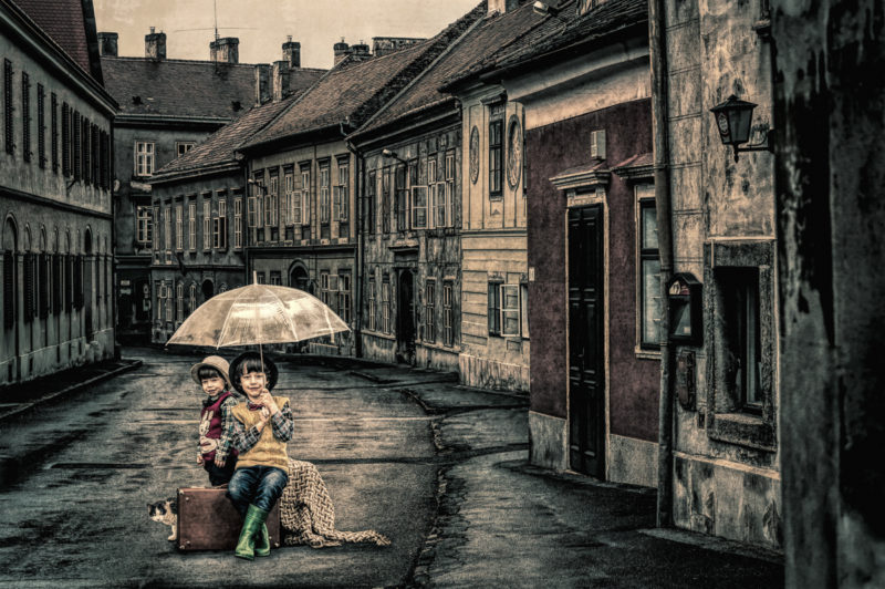 Damp Morning by Kelly Doyle