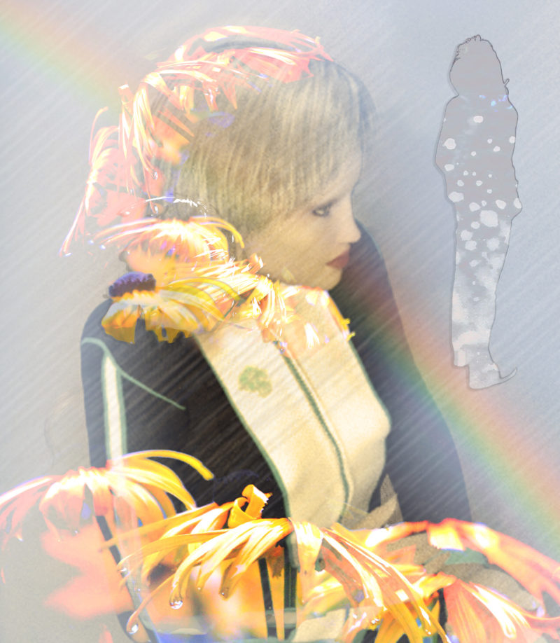 Dreaming In Anticipation by P Fern Phillips