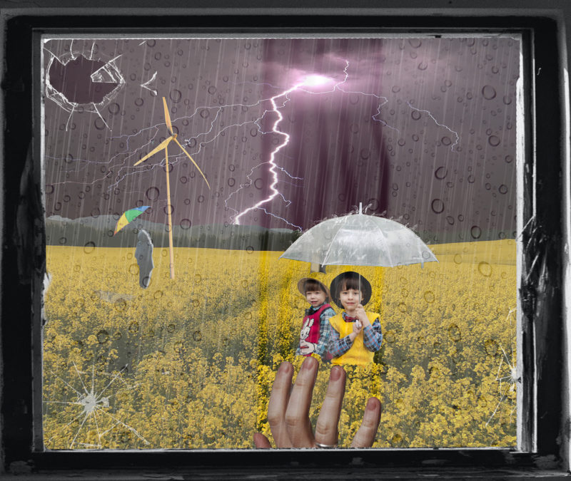 Growing Up In The Rain by Steve Pulley