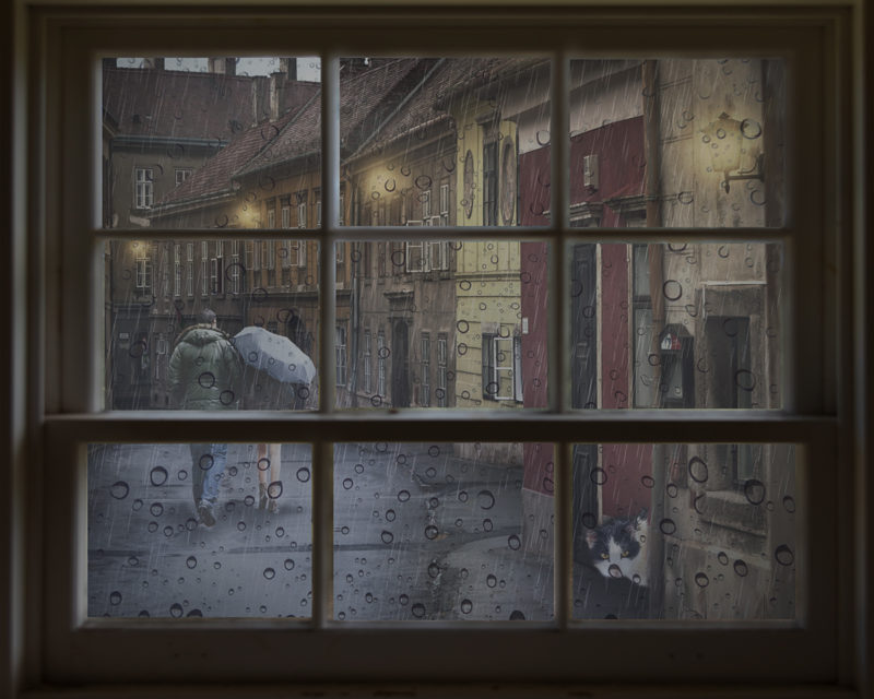 Inside Looking Out by Prue Wright