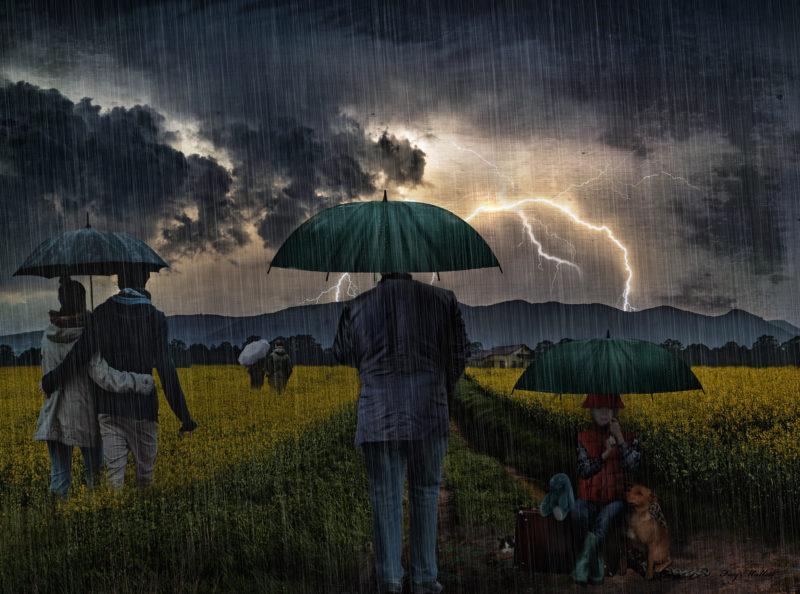 Quite A Sight But Not For This Little Girl by Fay Mallett