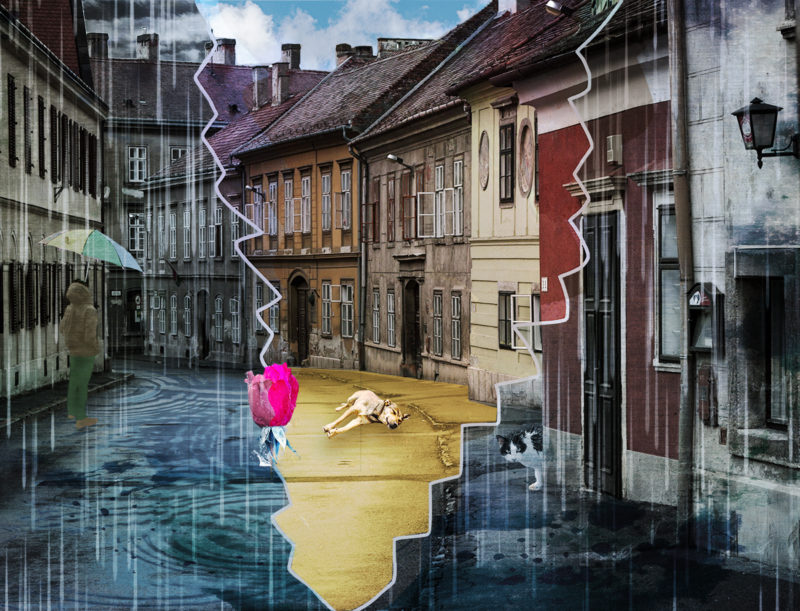 Rainy Day by Larry Schiffman