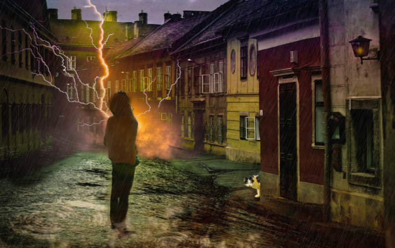 Struck by Beth Crastnopol