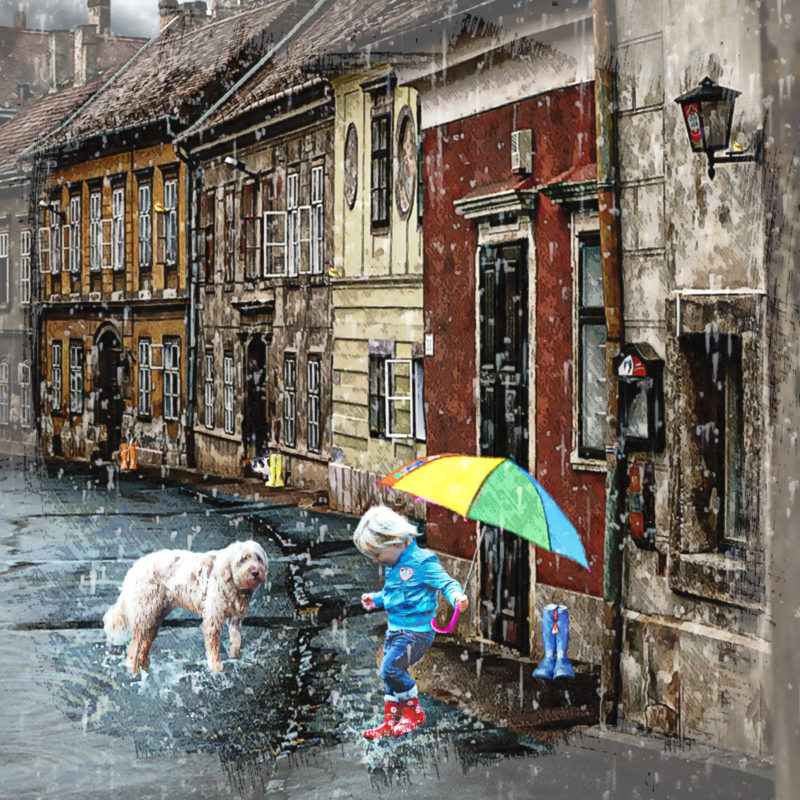 Sudden Storm by Janet Sipl