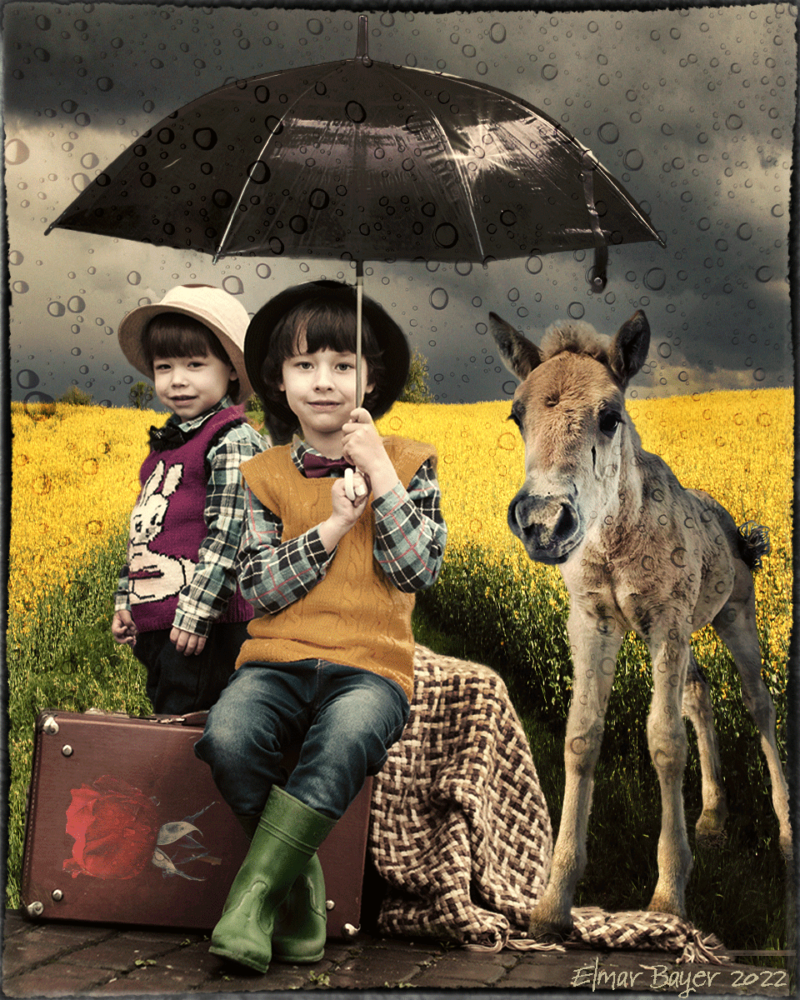 Waiting In The Rain by Elmar Bayer