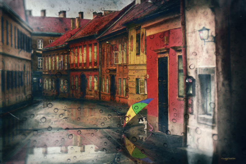 When The Cats Away by Cindy Charles