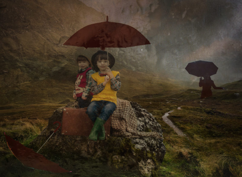 Wheres Momy by Bonnie Greenberg