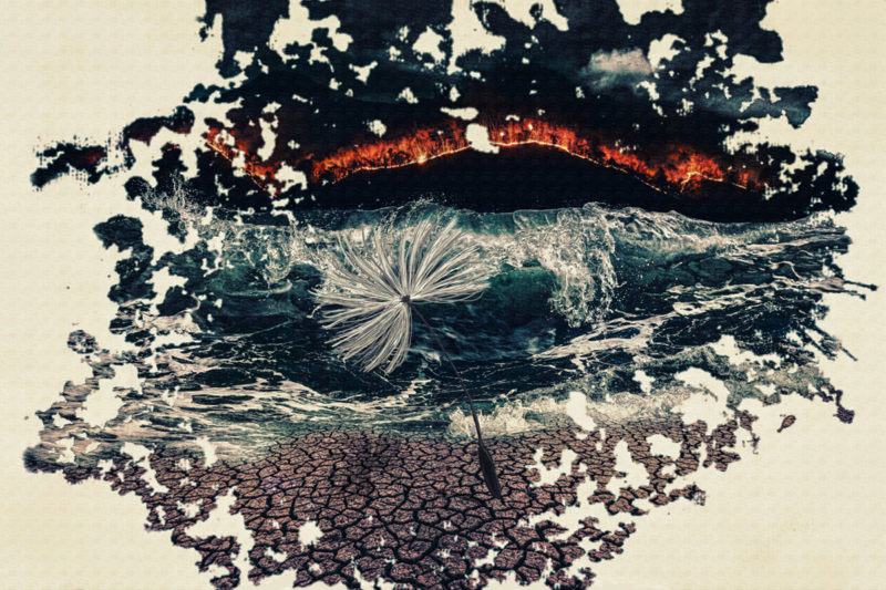 A Seed of Aope by Pamela Perkins