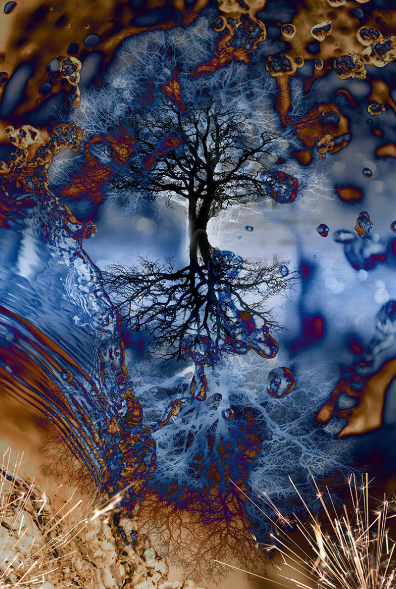 Abstracted Elements by Luana Laubscher