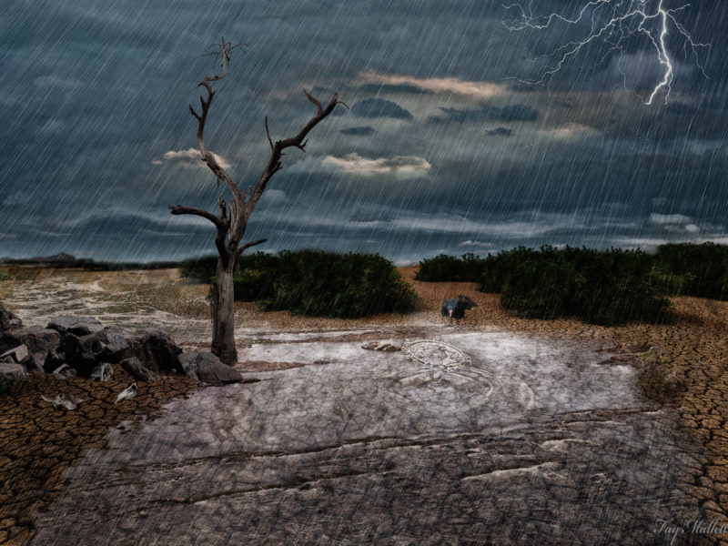 Blessed Relief by Fay Mallett