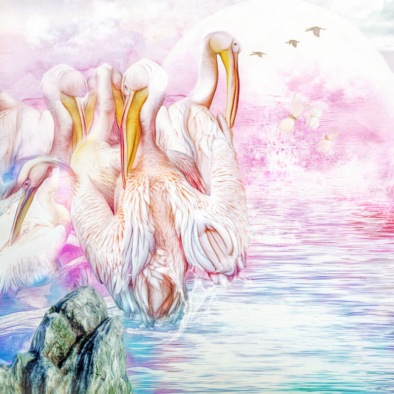 Butteflies Adventure In The Surf by Lizz Berry