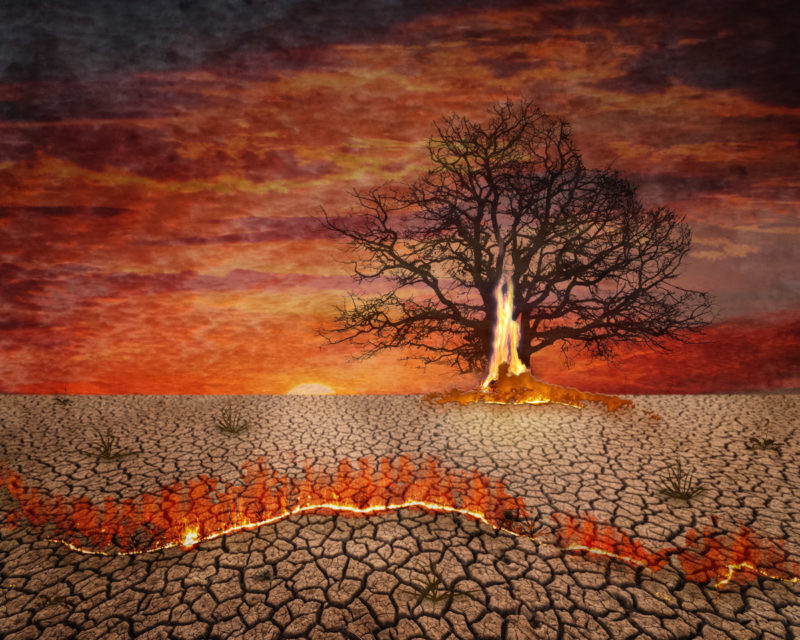 California 2040 by Connie Terry