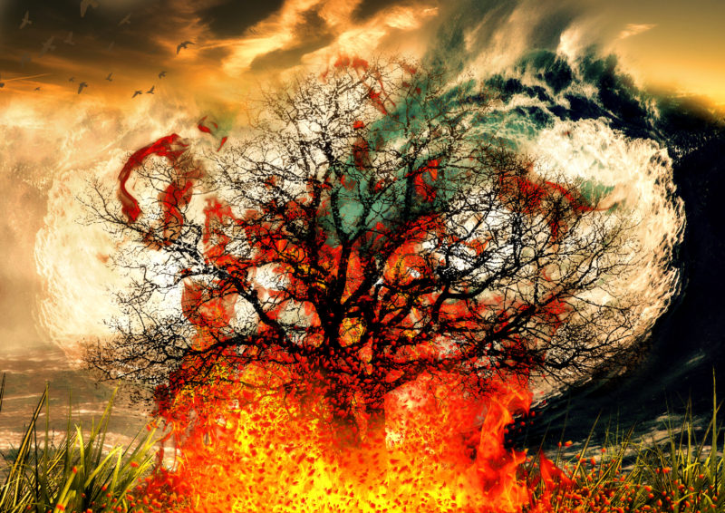 Climate Changes by Andre Stevens