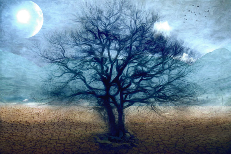 Drying Up by Nancie Rowan